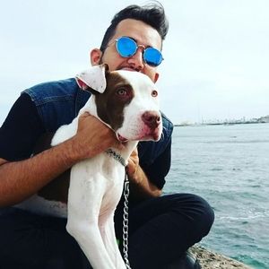 Meet your Posher, Leonardo